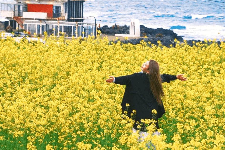 [TIỀN-TRẠM] JEJU - HIDDEN PATH TO HEALING 