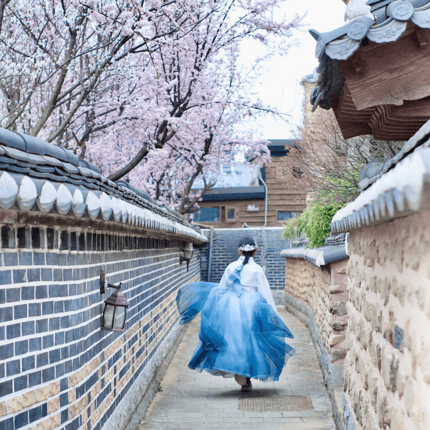 KOREA SPRING HARMONY 2026