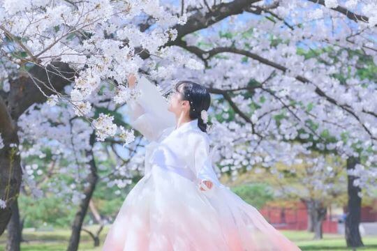 KOREA - SPRING HARMONY 2026