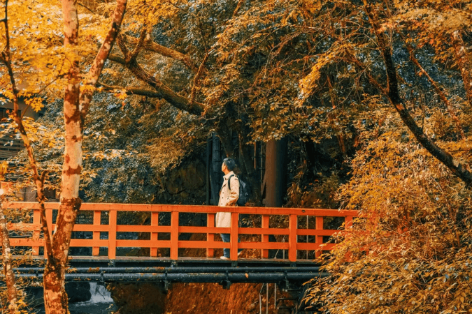 JAPAN ICHIE ICHIGO 2.0 - Momiji Hunting
