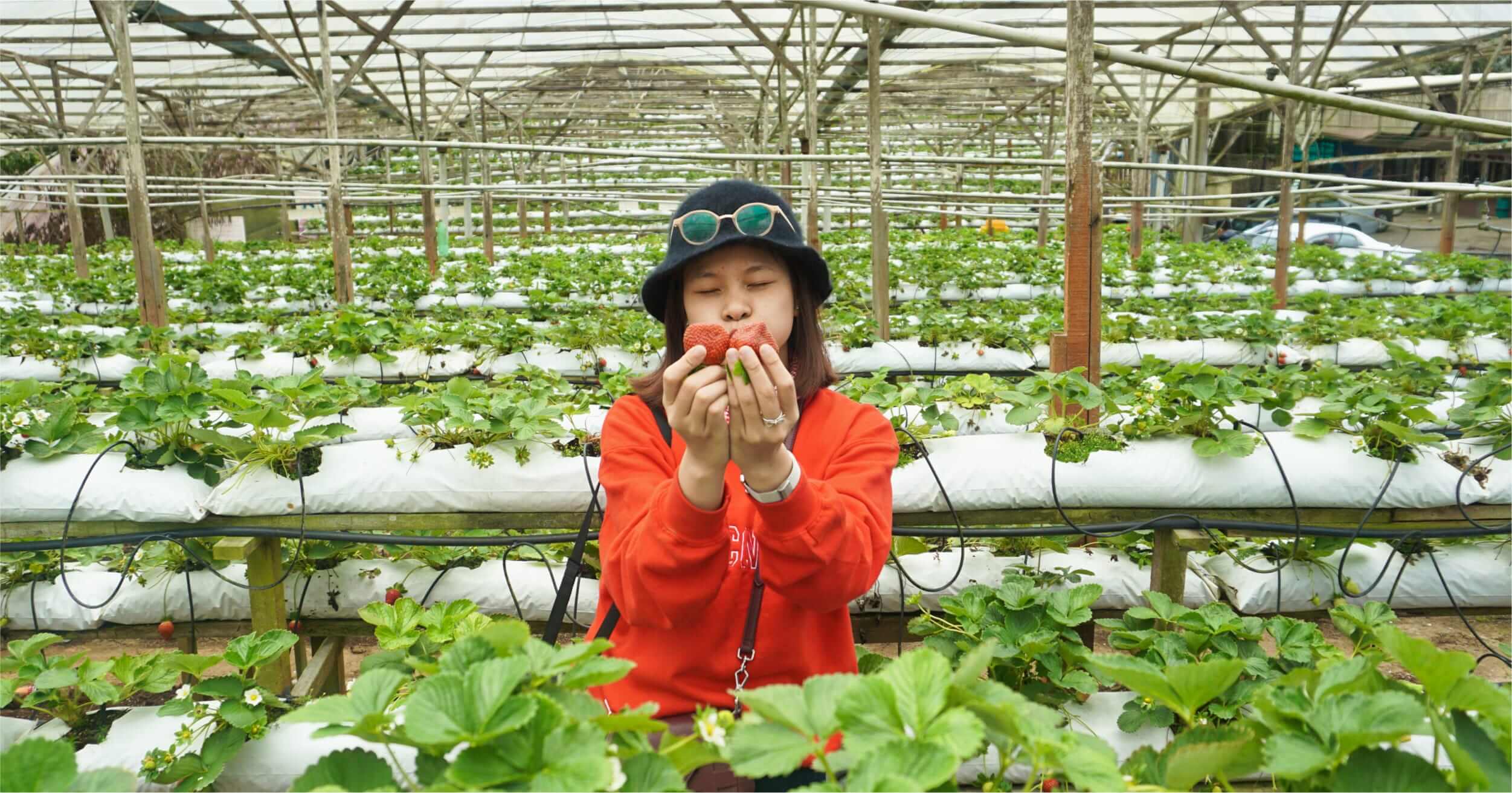 10 trải nghiệm "độc và lạ" chỉ có trong hành trình đa sắc Malaysia