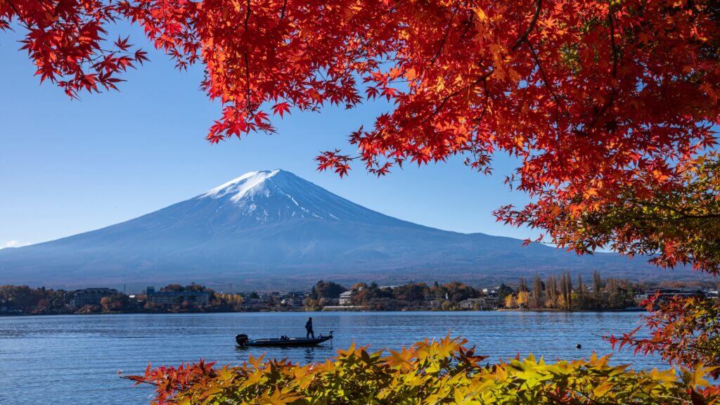 JAPAN ICHIE ICHIGO 2.0 - Momiji Hunting