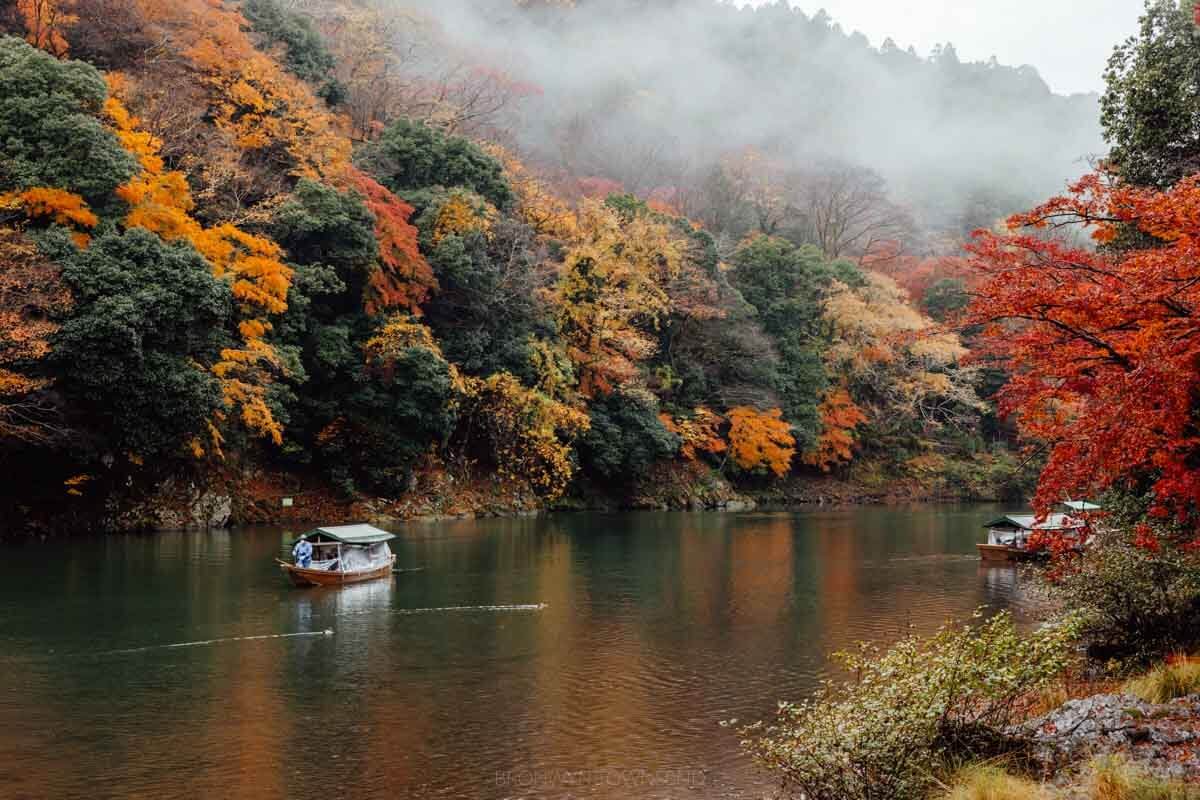 JAPAN ICHIE ICHIGO 2.0 - Autumn Vibe 2025