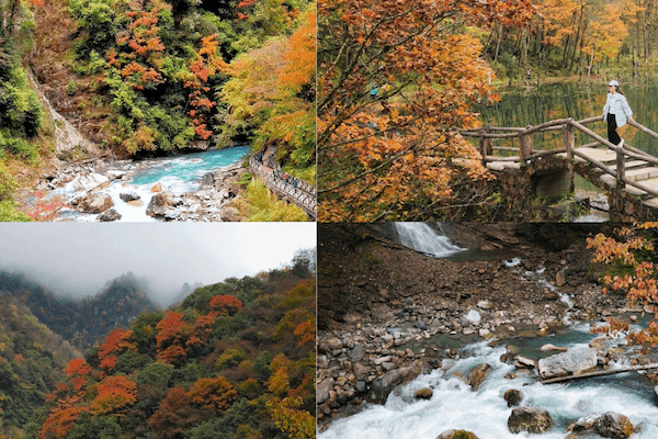 TWIN SOULS OF SICHUAN - THE NATURE IMMERSION